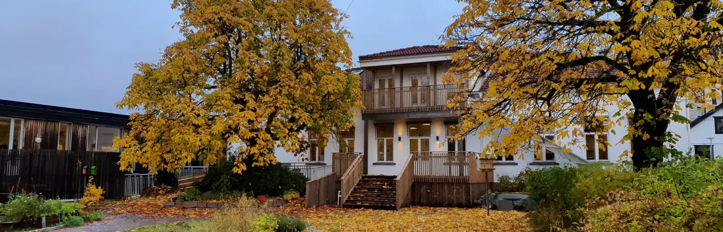 Hovedhus
